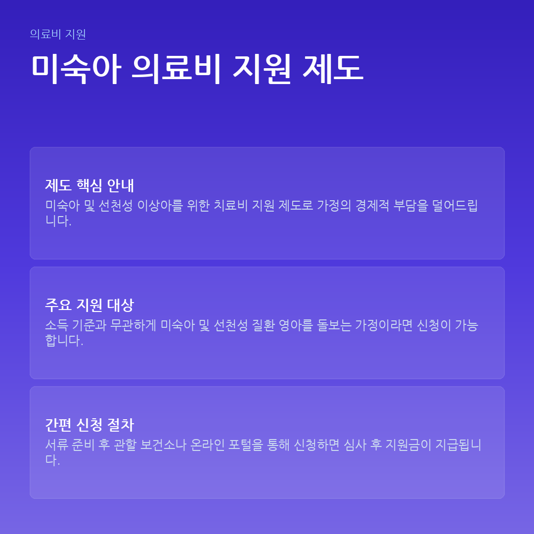 미숙아 의료비 지원 제도 요약 카드