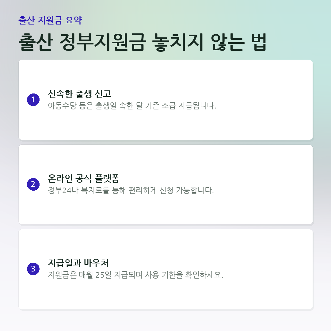 출산 정부지원금 놓치지 않는 법 요약 카드