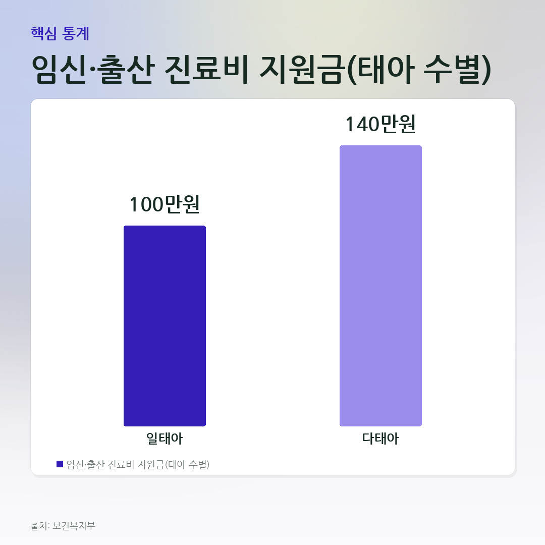 임신·출산 진료비 지원금(태아 수별) 비교 카드