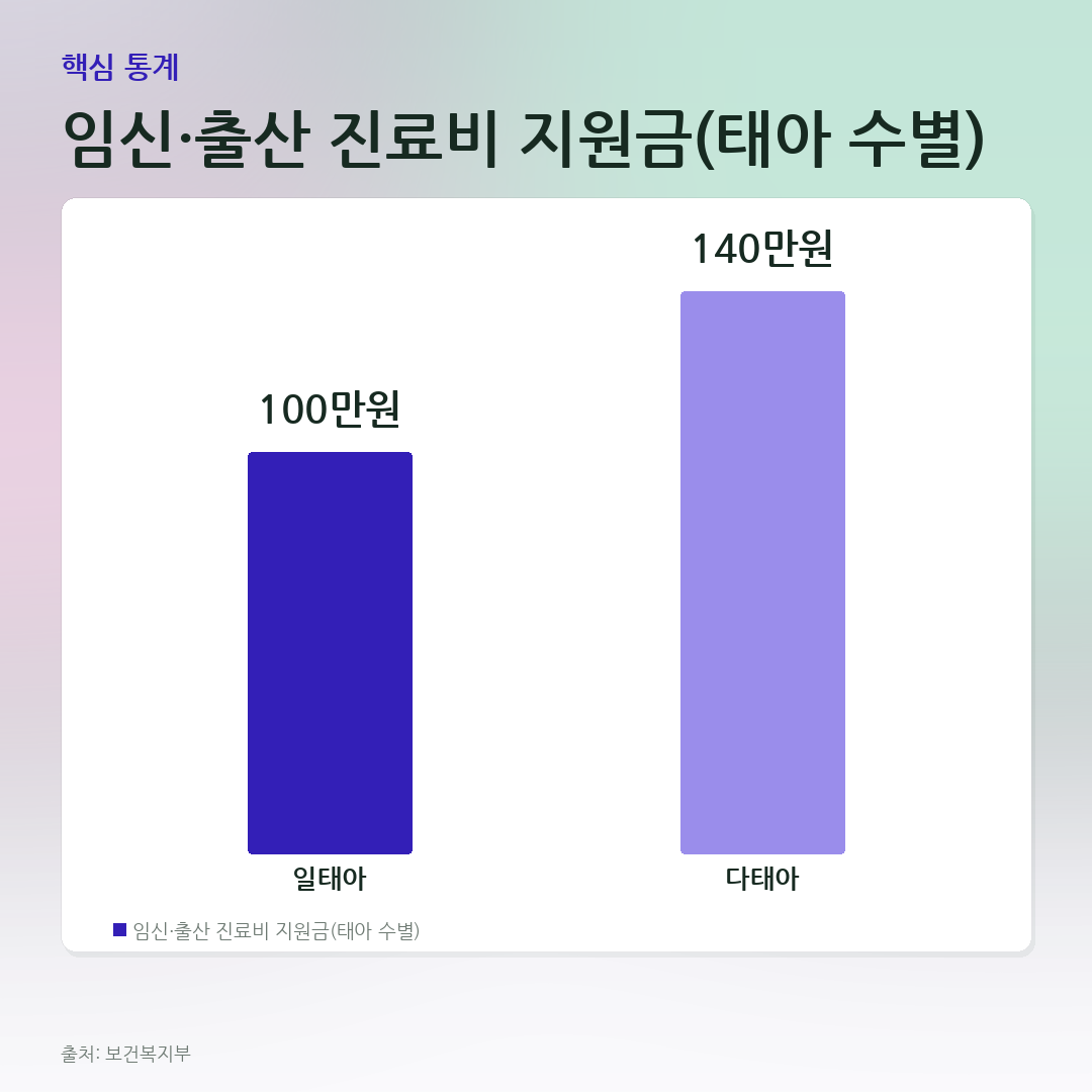 임신·출산 진료비 지원금(태아 수별) 비교 카드