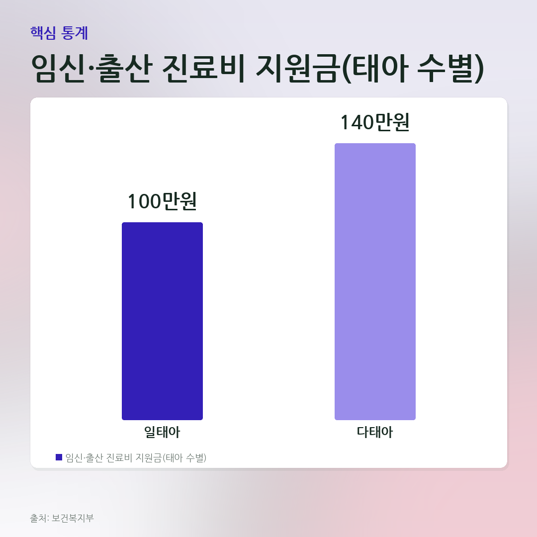 임신·출산 진료비 지원금(태아 수별) 비교 카드