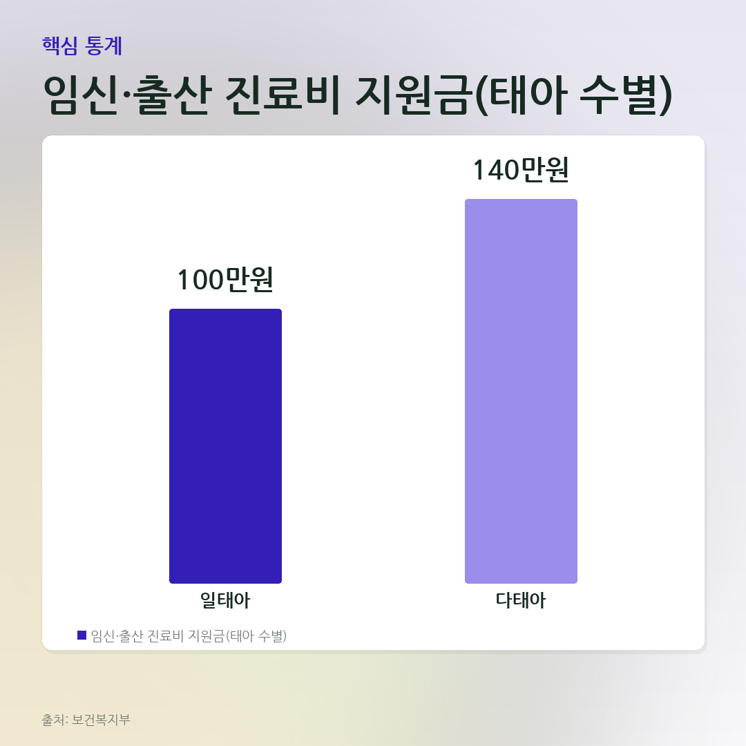 임신·출산 진료비 지원금(태아 수별) 비교 카드