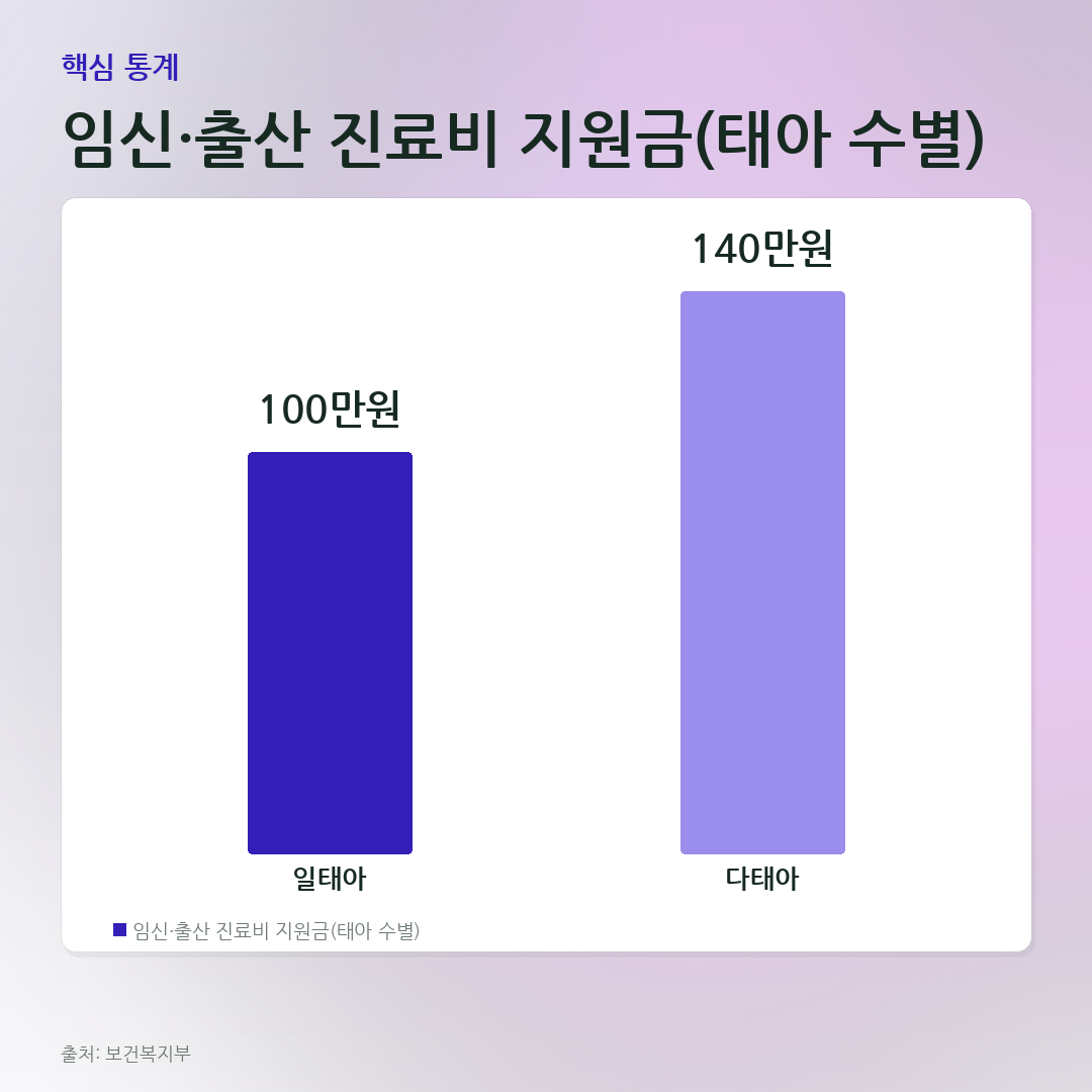 임신·출산 진료비 지원금(태아 수별) 비교 카드