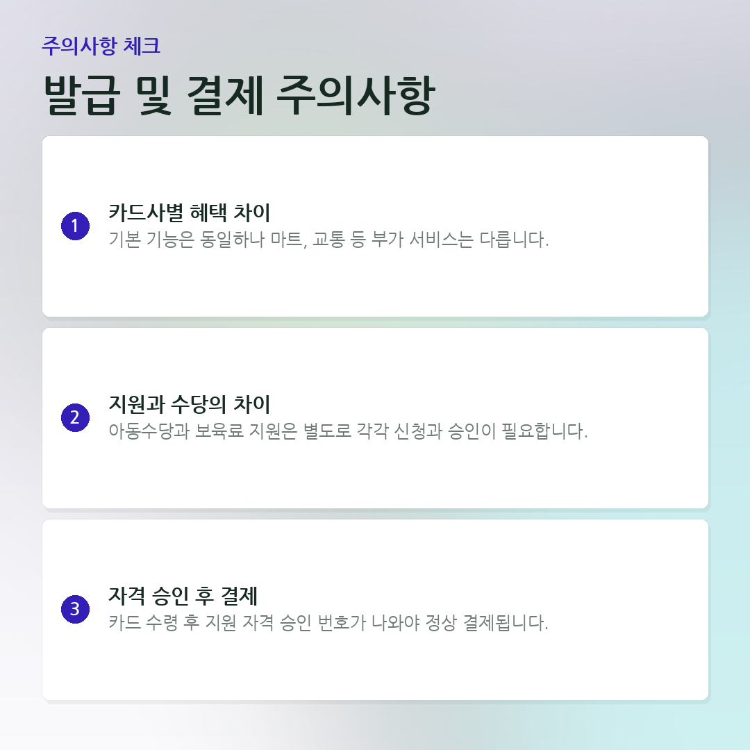 발급 및 결제 주의사항 요약 카드