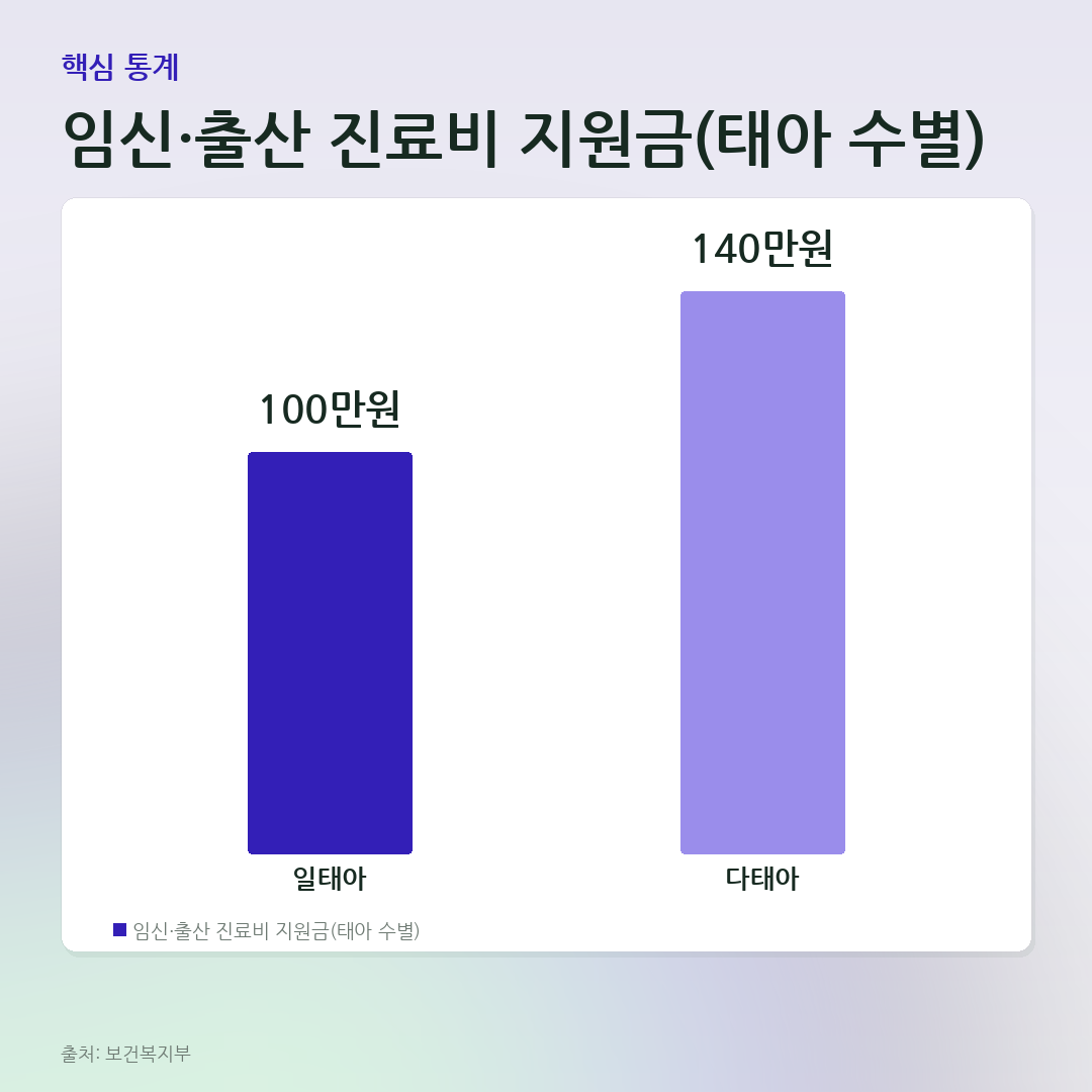 임신·출산 진료비 지원금(태아 수별) 비교 카드