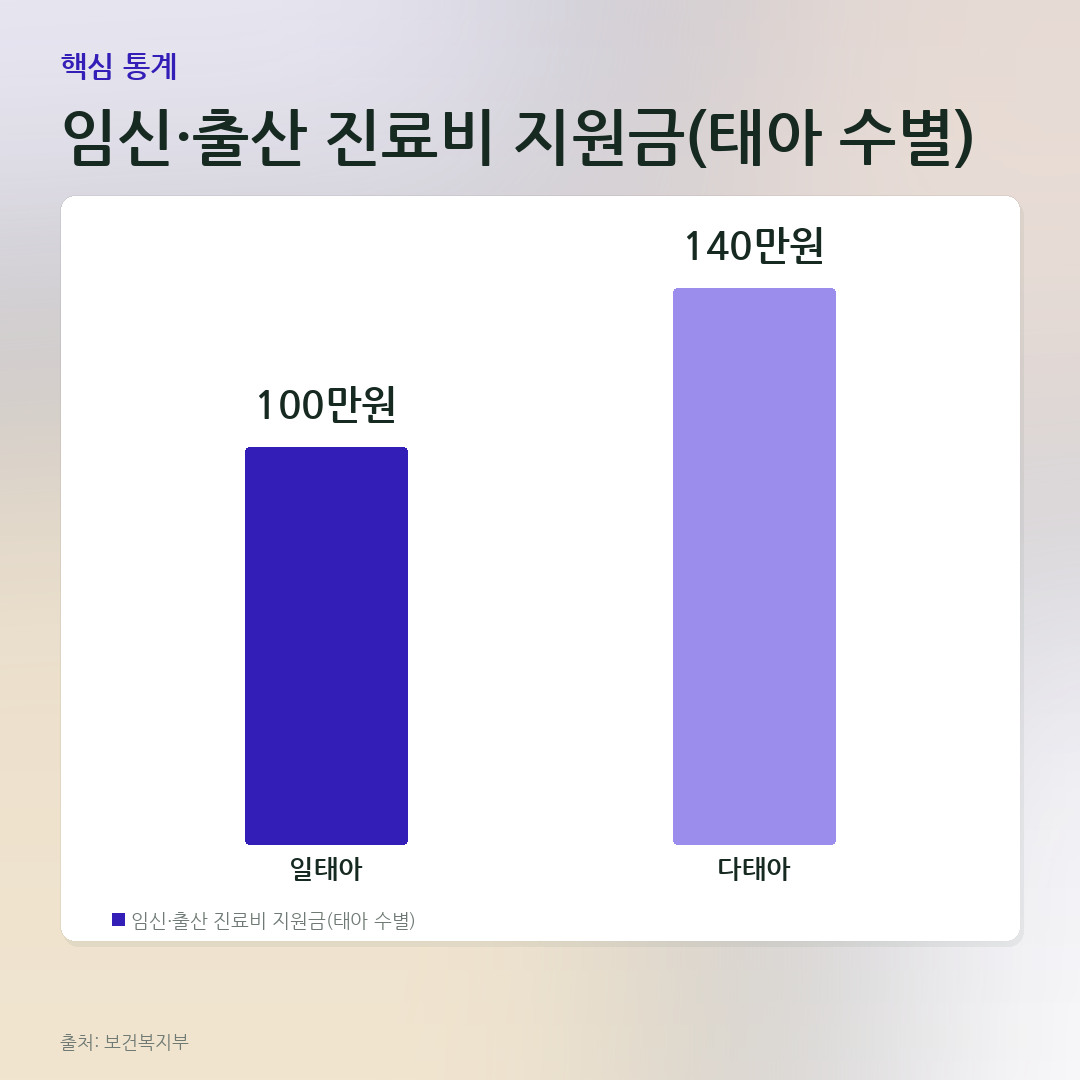 임신·출산 진료비 지원금(태아 수별) 비교 카드