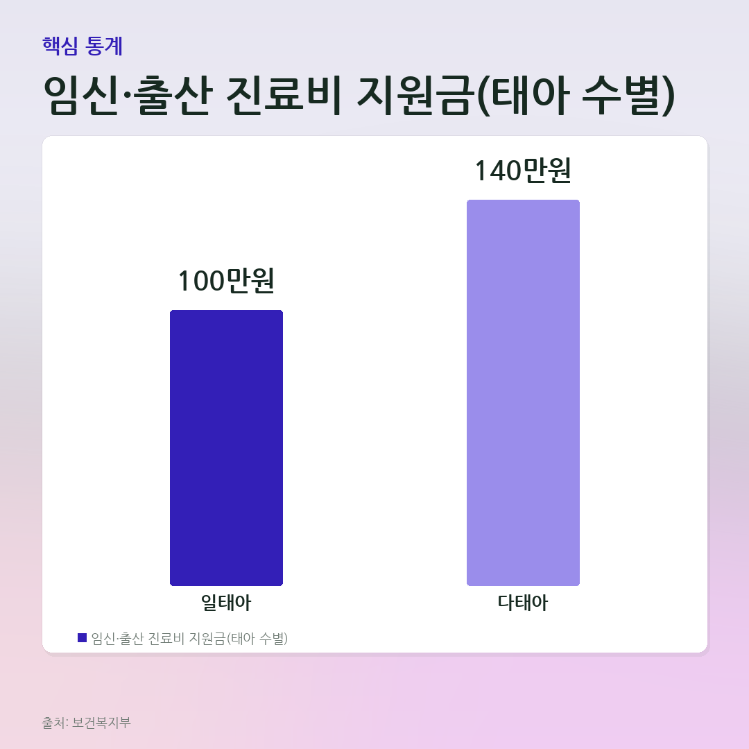 임신·출산 진료비 지원금(태아 수별) 비교 카드