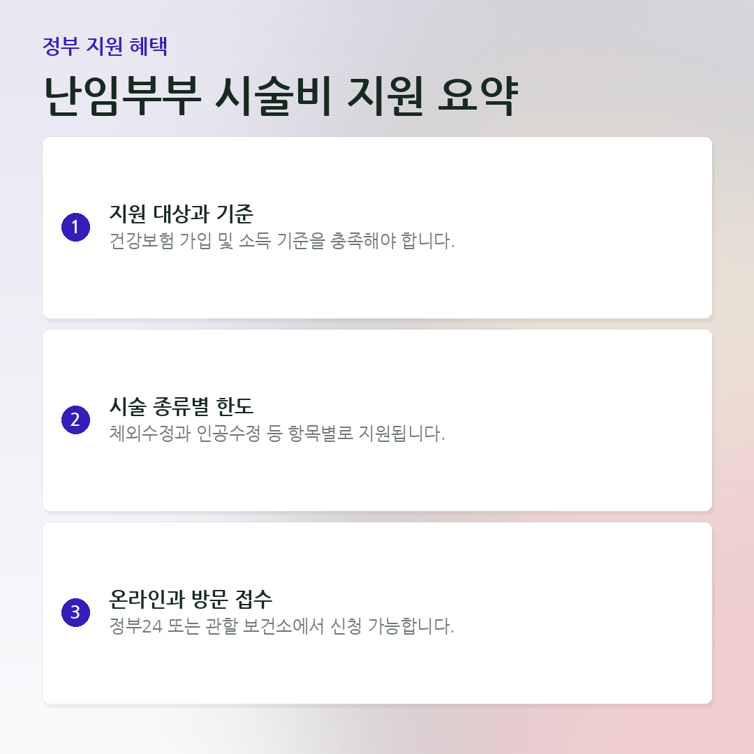 난임부부 시술비 지원 요약 요약 카드