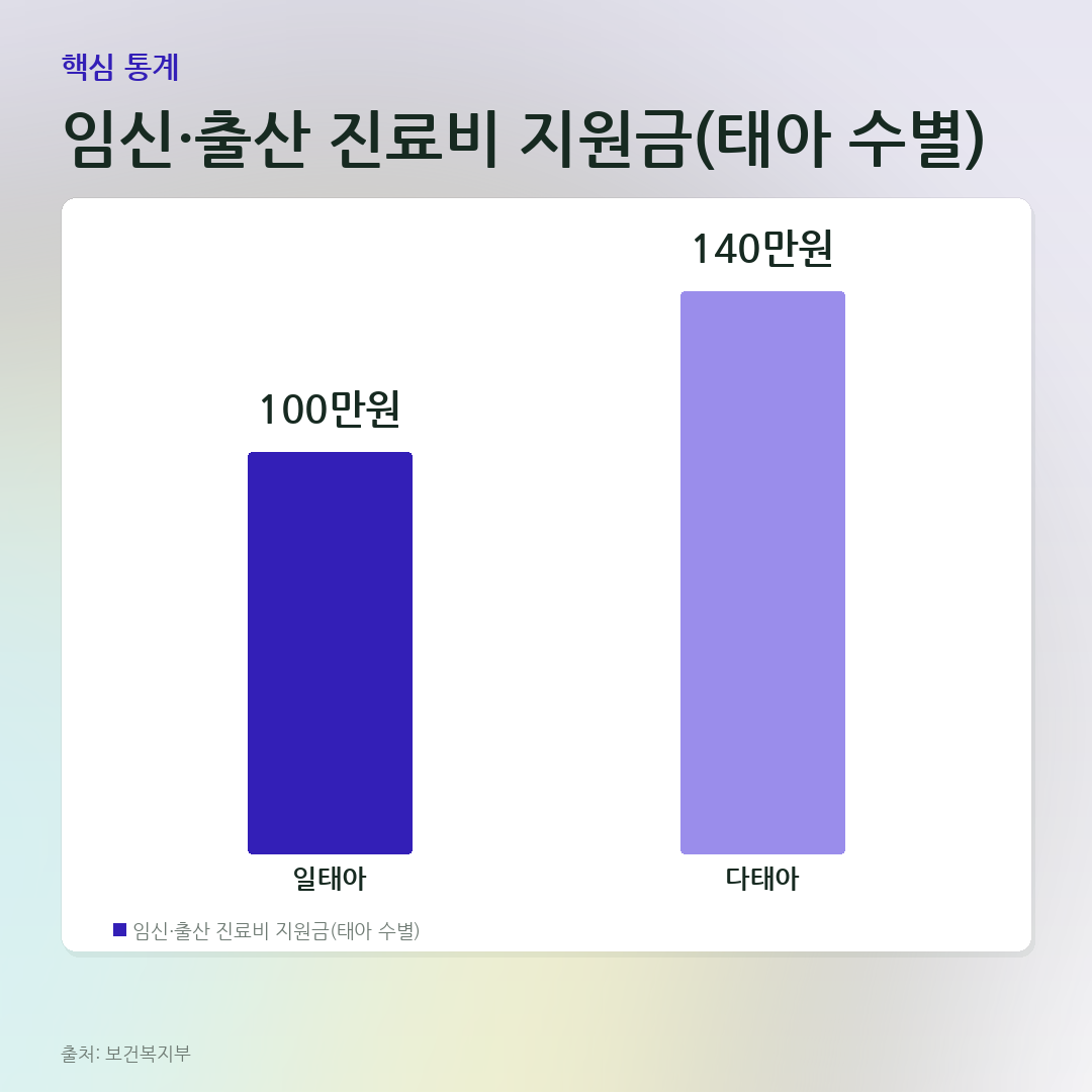 임신·출산 진료비 지원금(태아 수별) 비교 카드