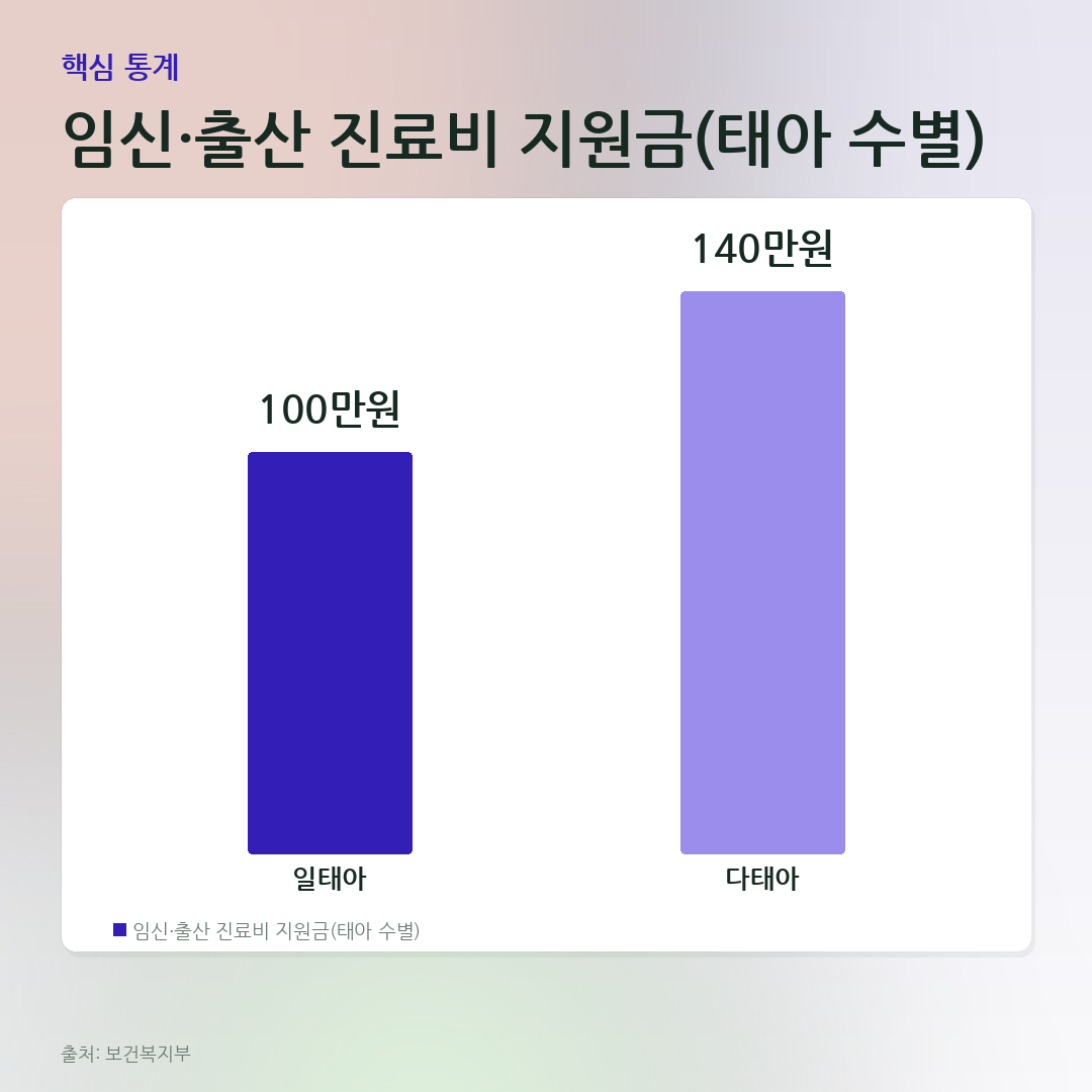 임신·출산 진료비 지원금(태아 수별) 비교 카드