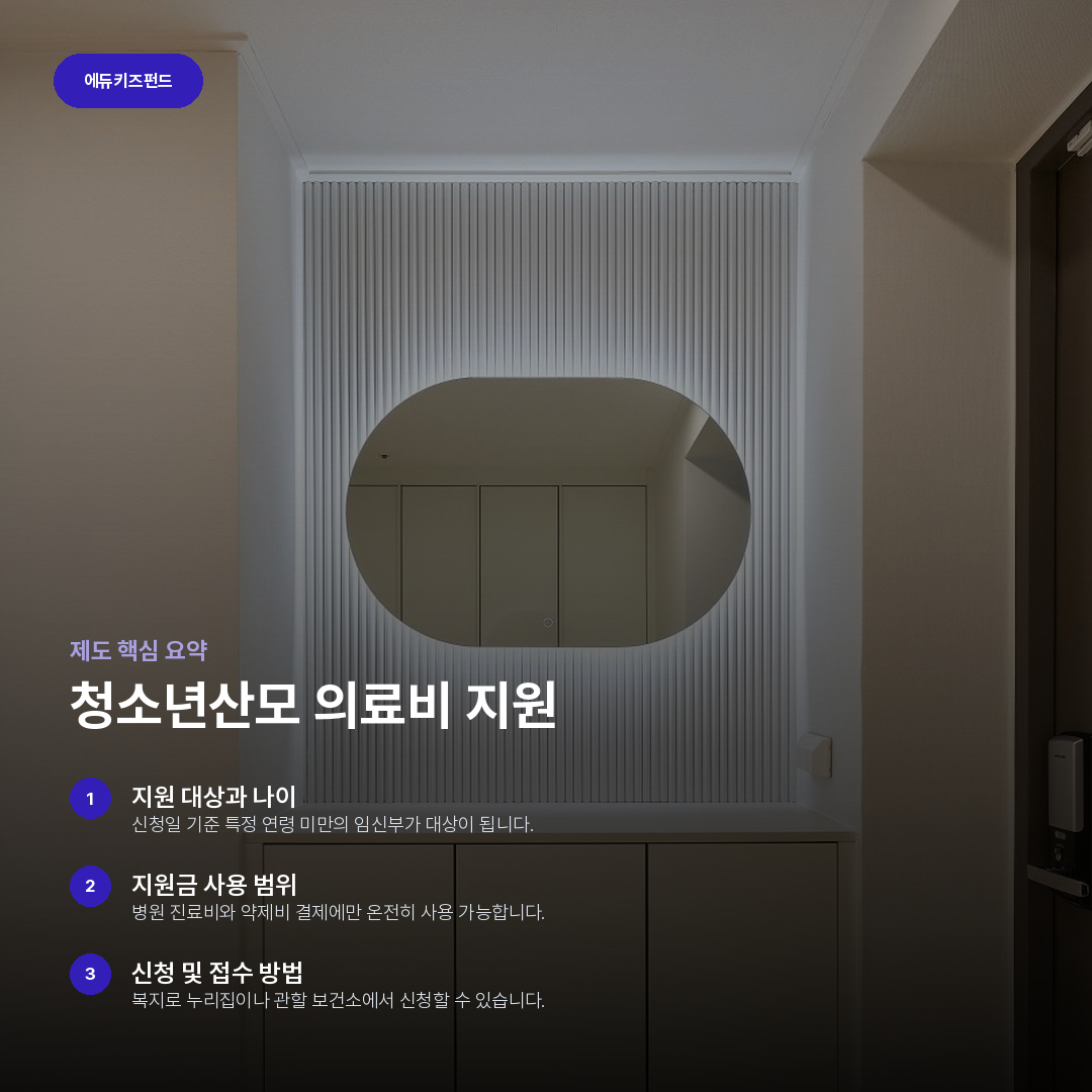 청소년산모 의료비 지원 요약 카드