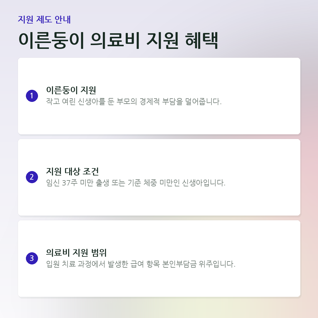 이른둥이 의료비 지원 혜택 요약 카드