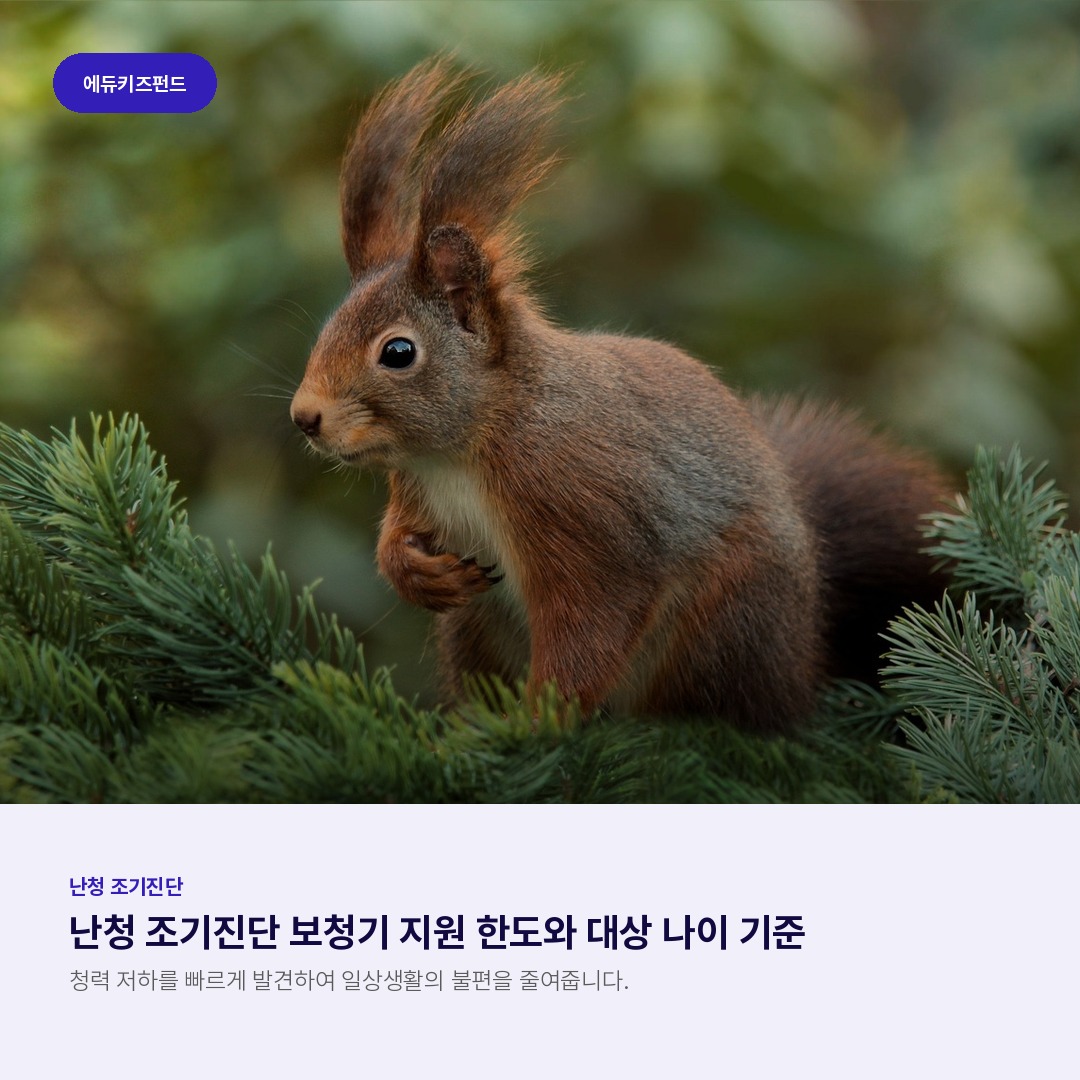 난청 조기진단 보청기 지원 한도와 대상 나이 기준