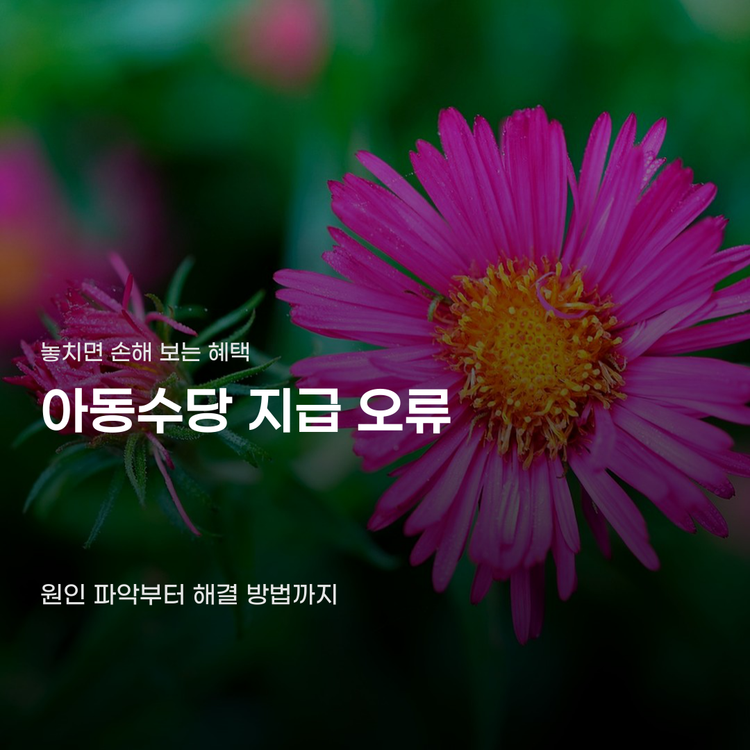 아동수당 지급 오류가 반복되는 의외의 이유