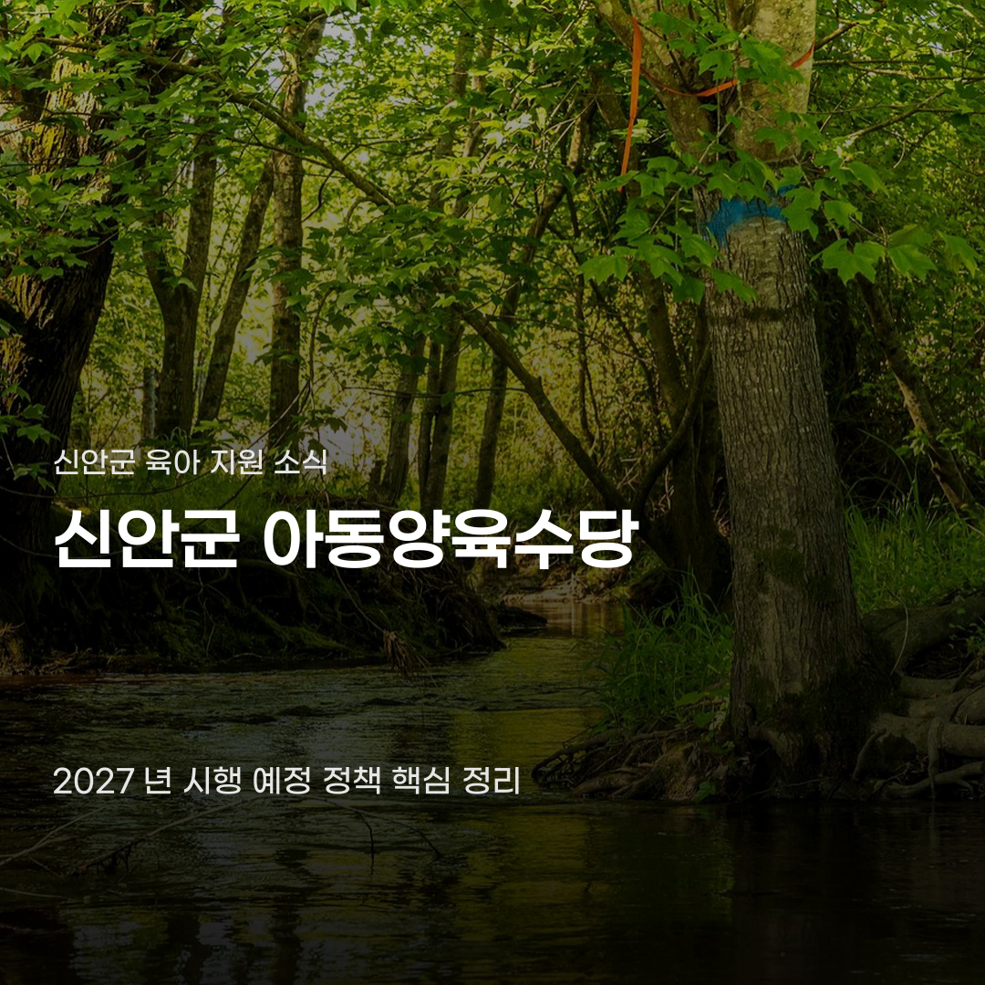 신안군 아동양육수당 지원 금액 놓치지 않는 방법