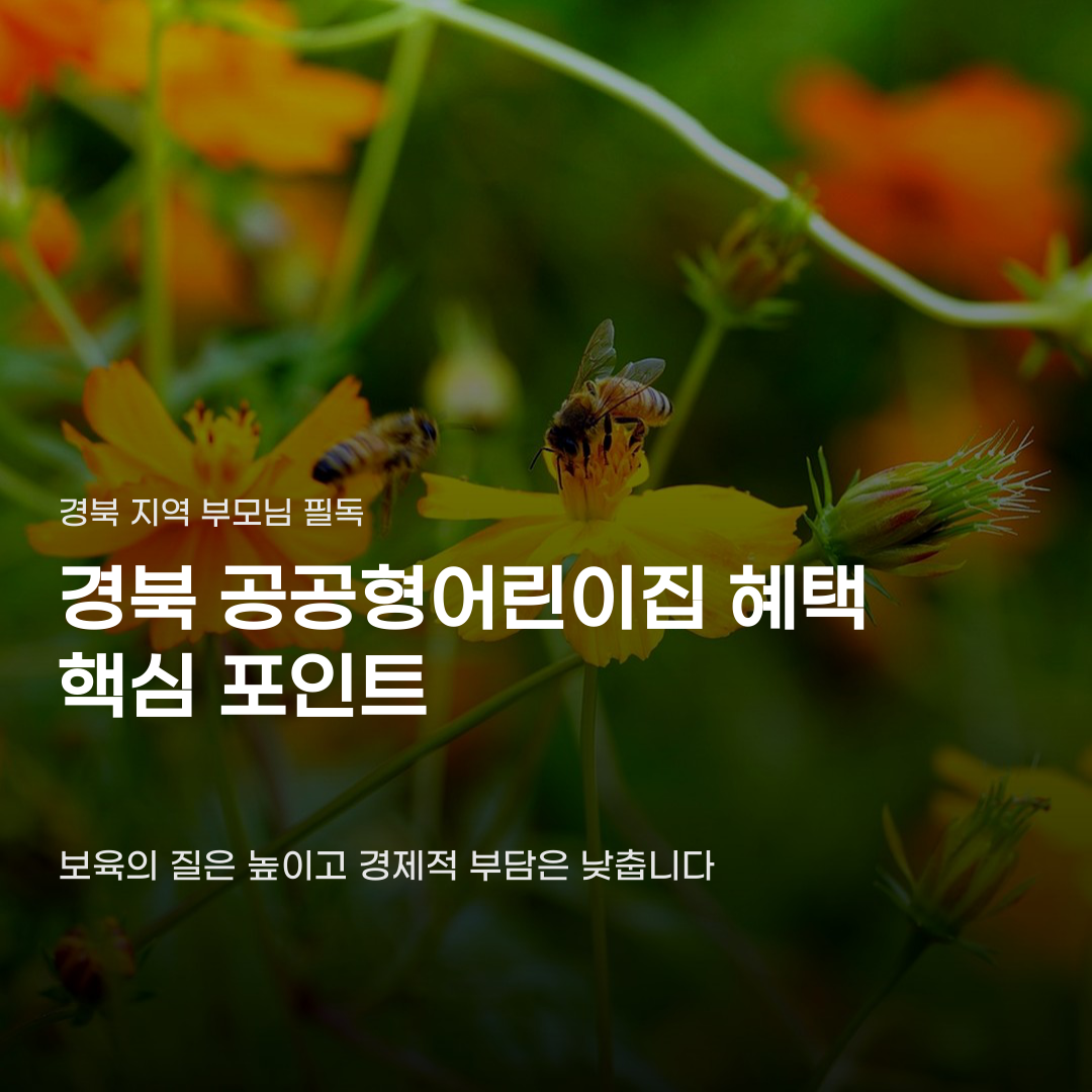 경북 공공형어린이집 혜택 민간과 구별되는 특징